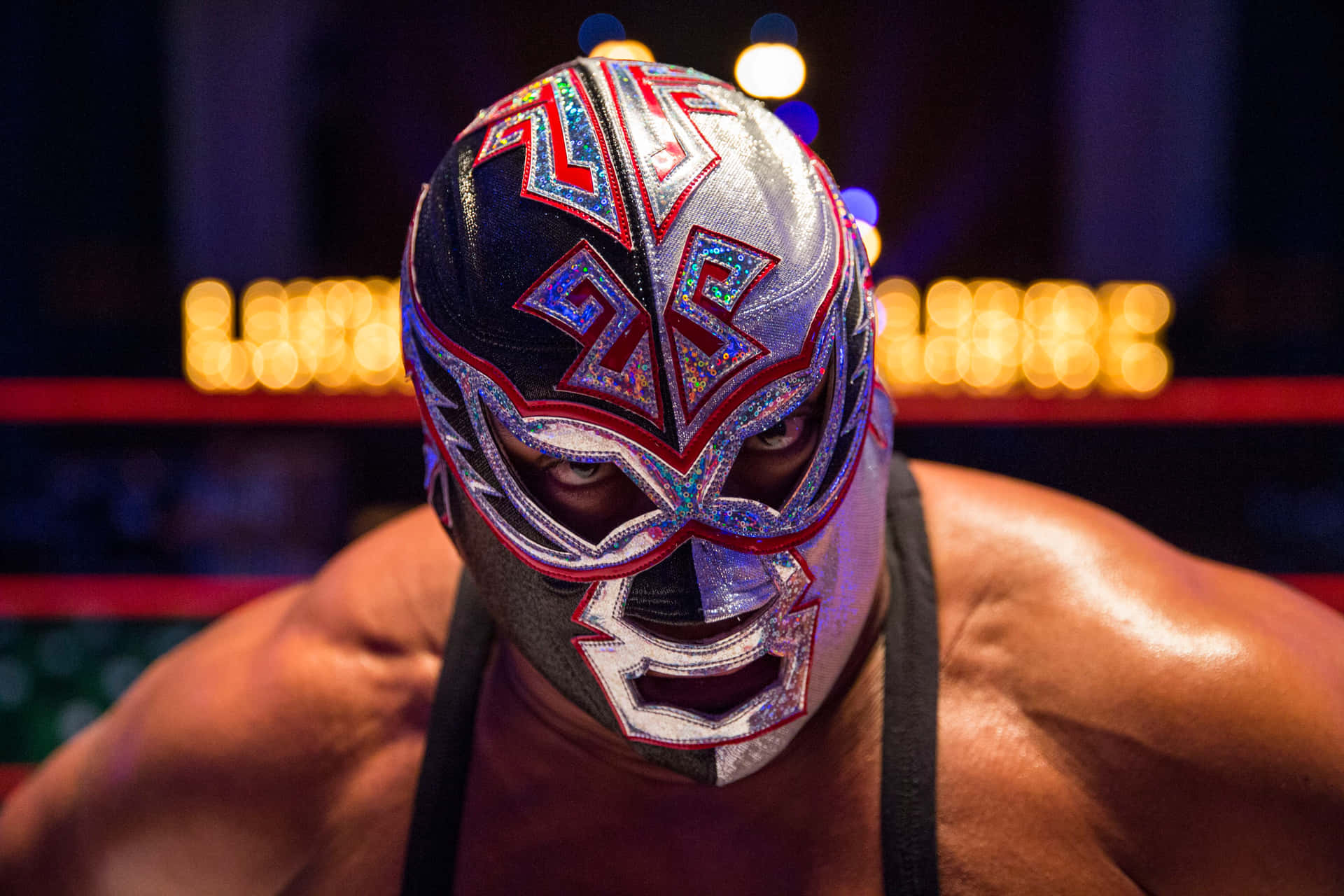 Luchadorin Mask Portrait Background