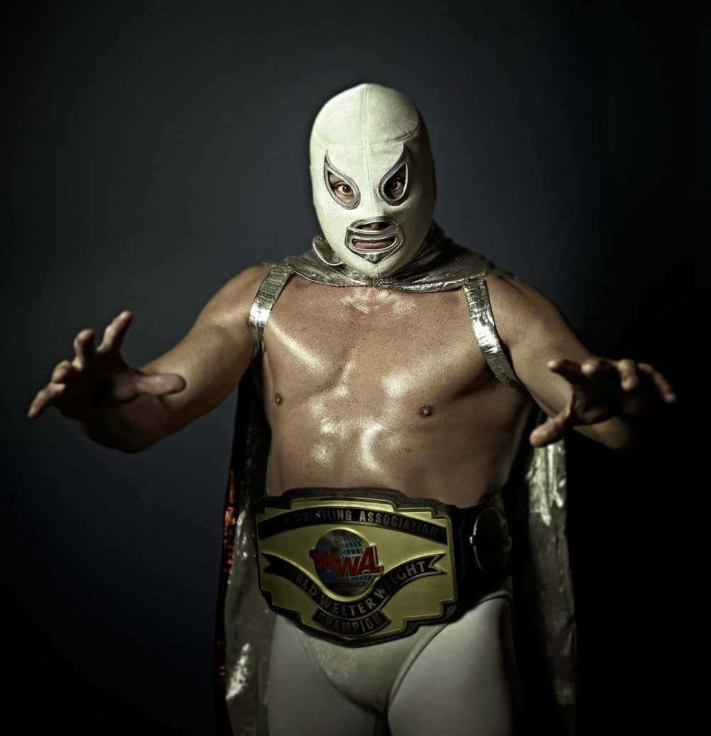 Luchadorin Silver Mask Background