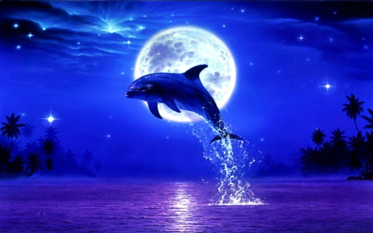 Lucid Nighttide Dolphin Background