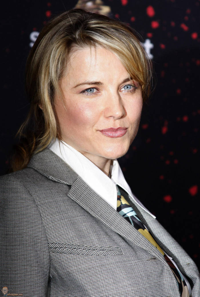 Lucy Lawless Charming Gray Suit