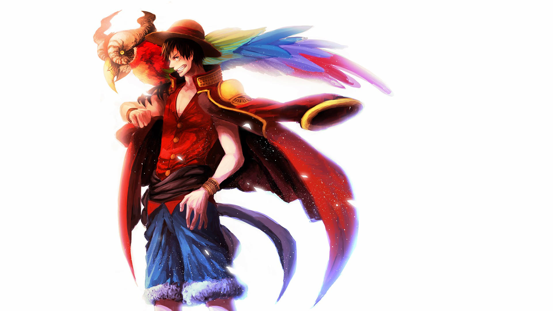Luffy 4k With Colourful Bird