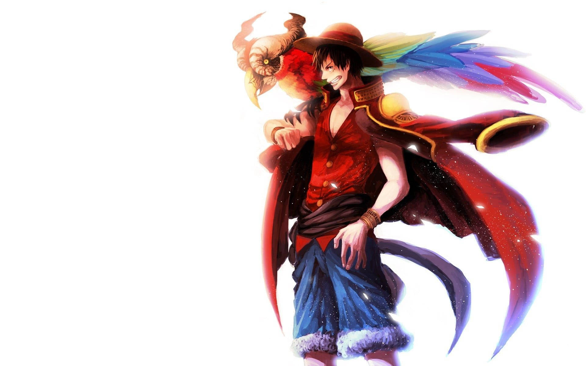 Luffy And Parrot One Piece Desktop Background