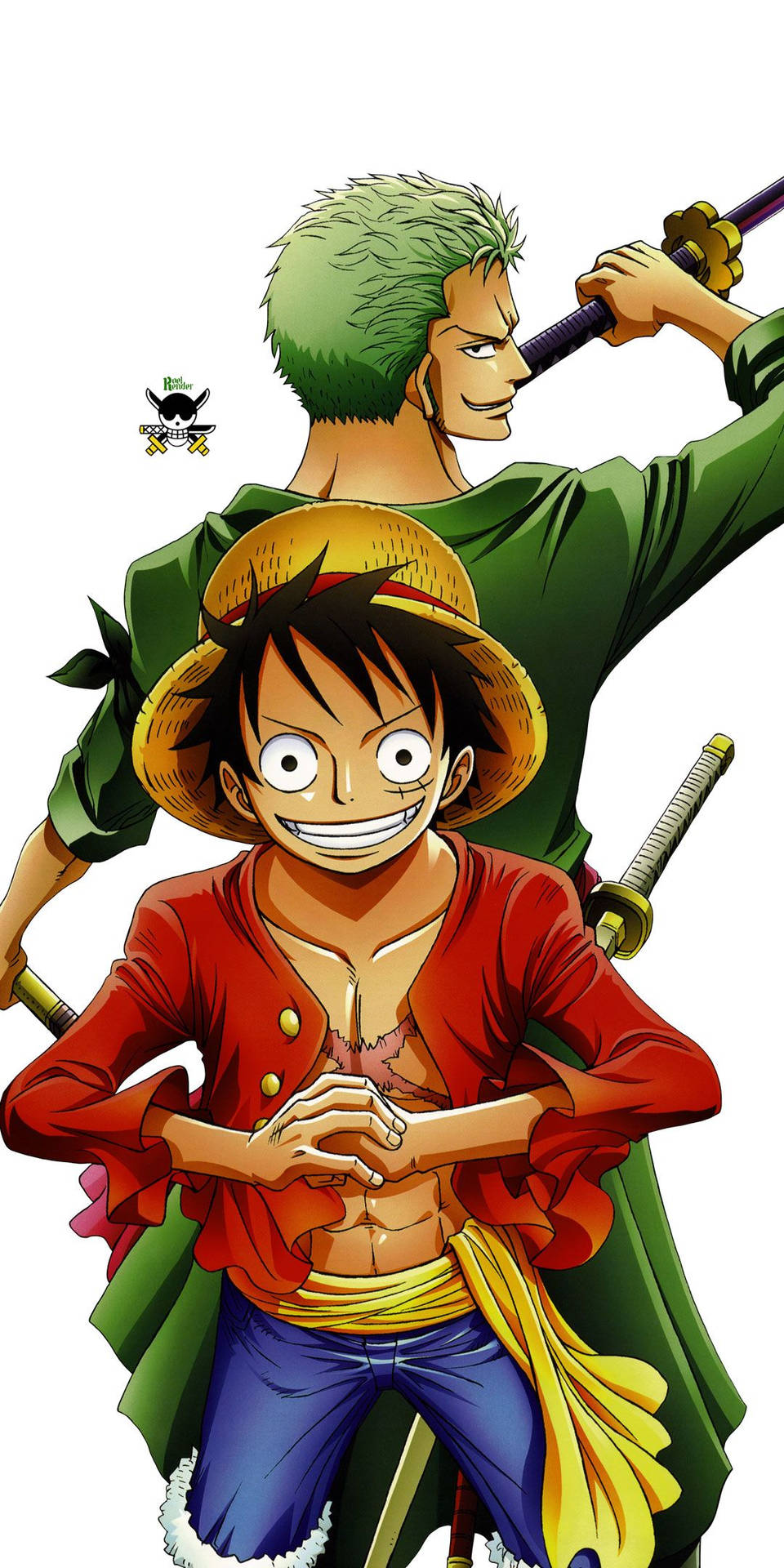 Luffy And Zoro, The Pirate Duo Of The Straw Hat Pirates Background