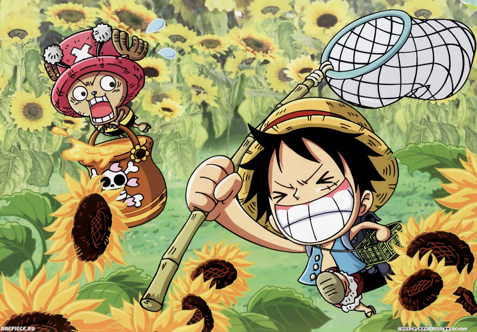 Luffy Funny With Tony Tony Background