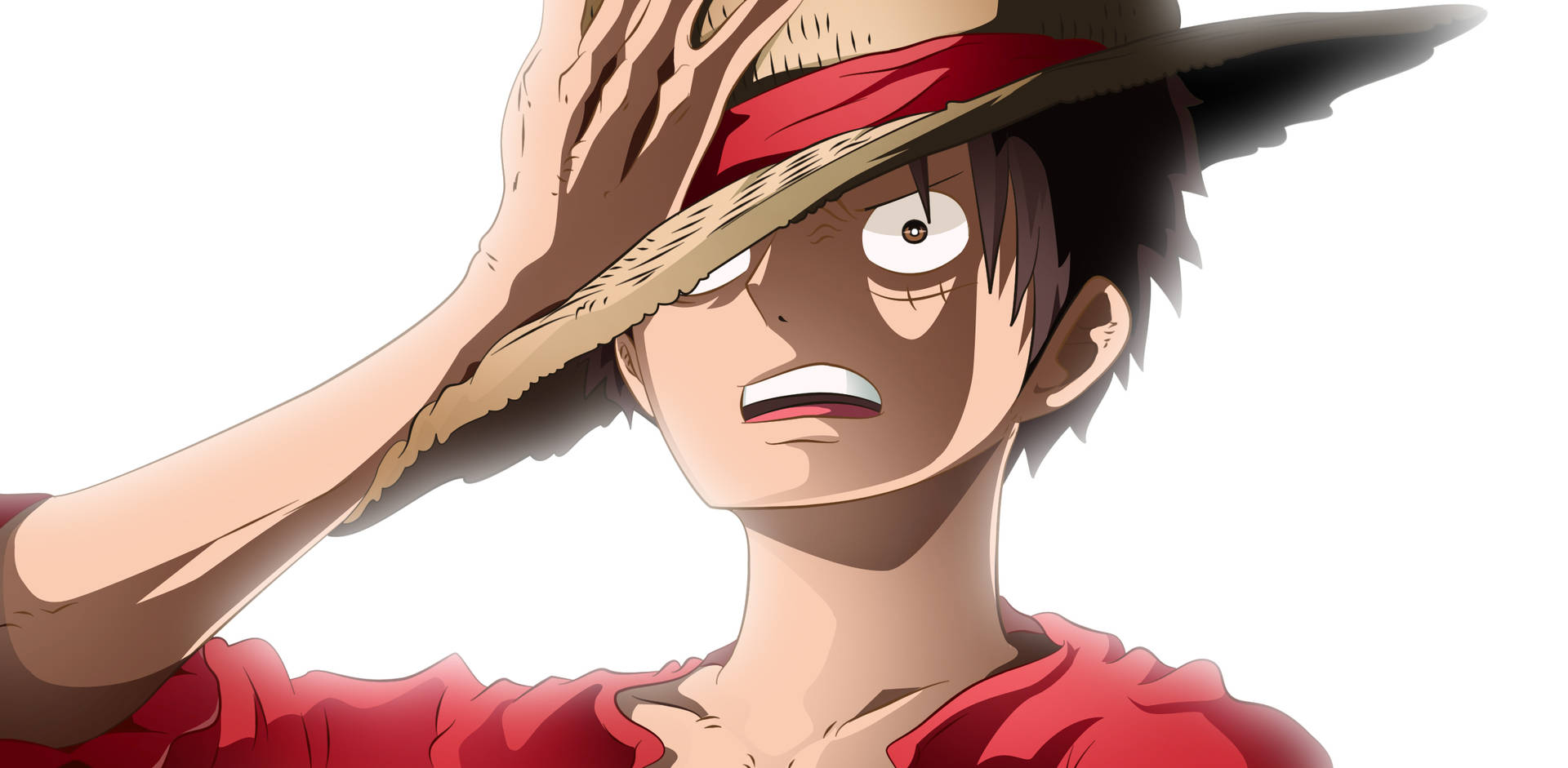 Luffy The Pirate Shock