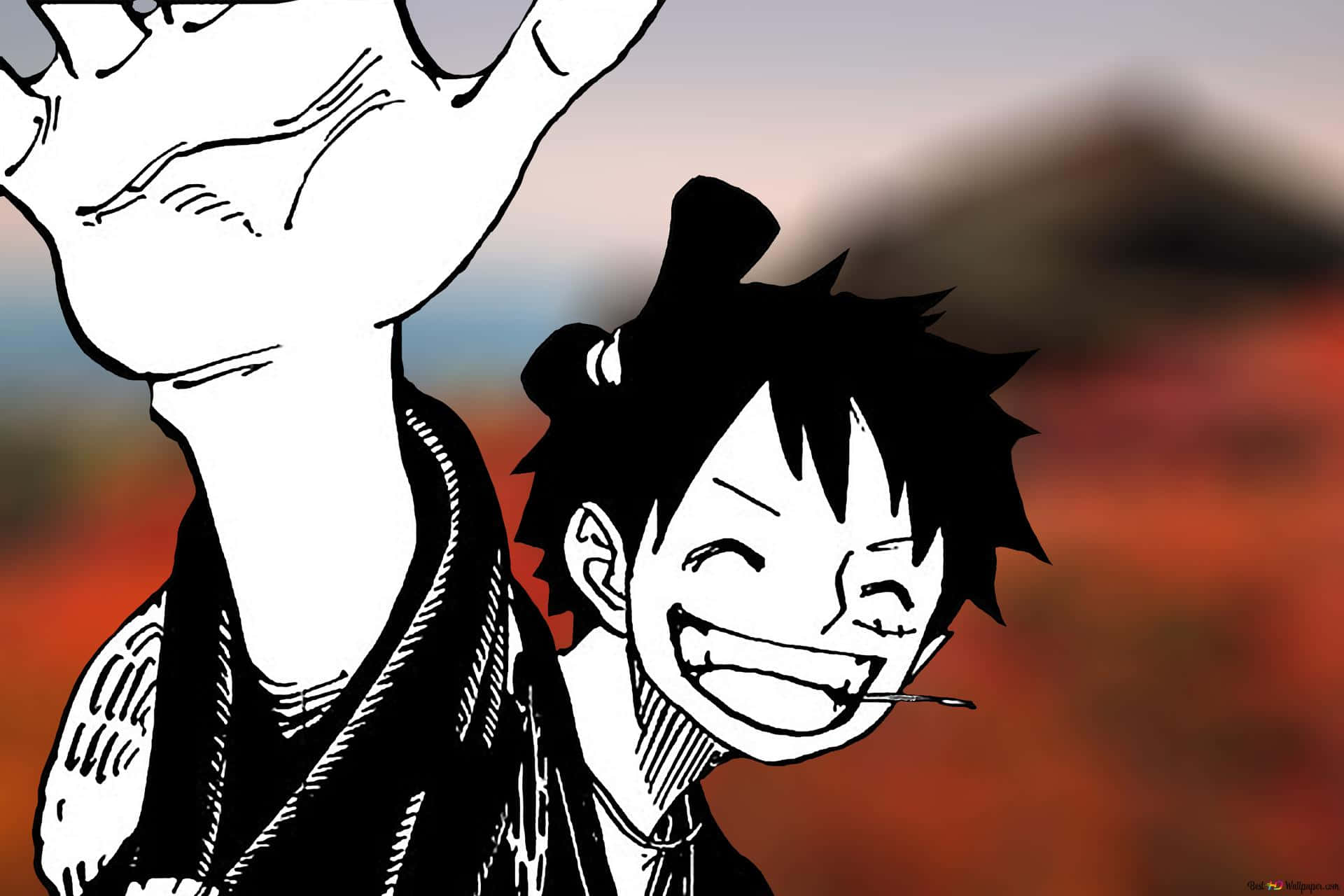 Luffy The Straw Hat Pirate Background