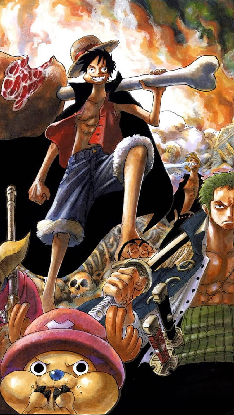 Luffy Zoro Tony Food Bones Art Mobile Background