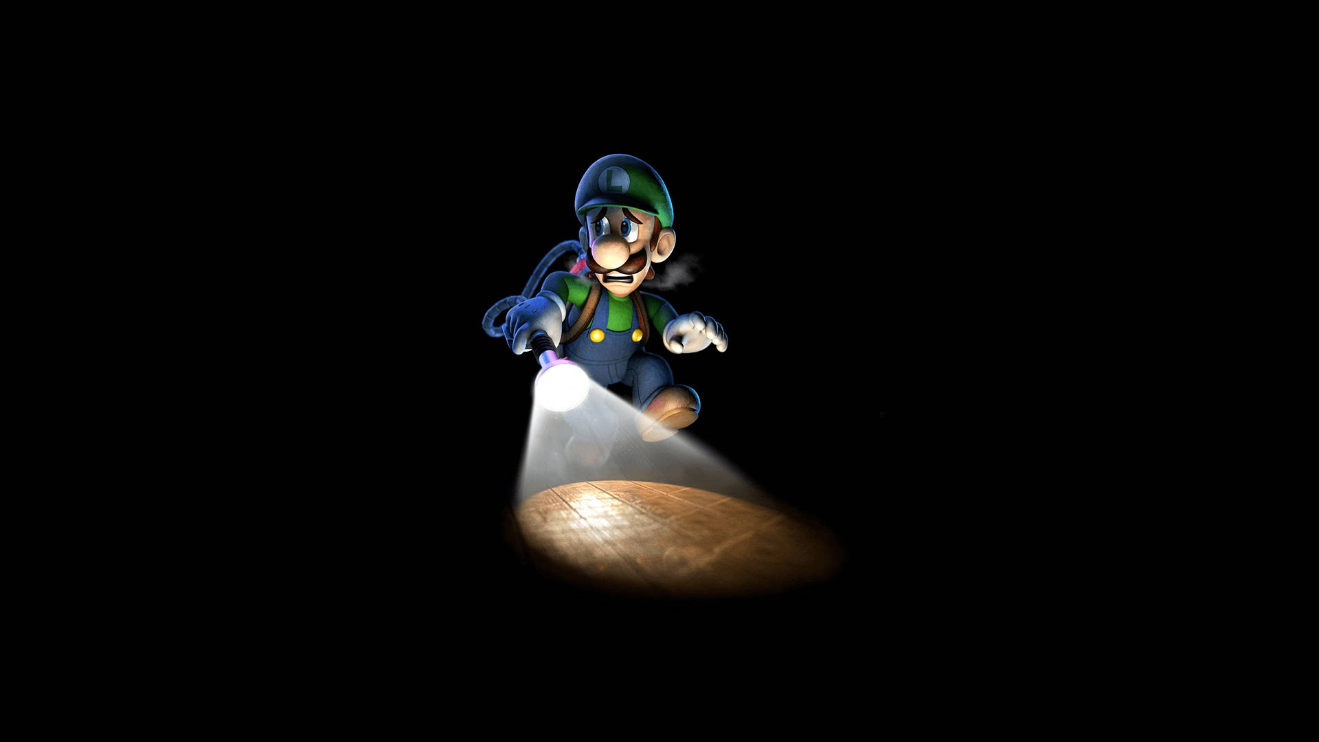 Luigi's Mansion Luigi Using Strobulb Background