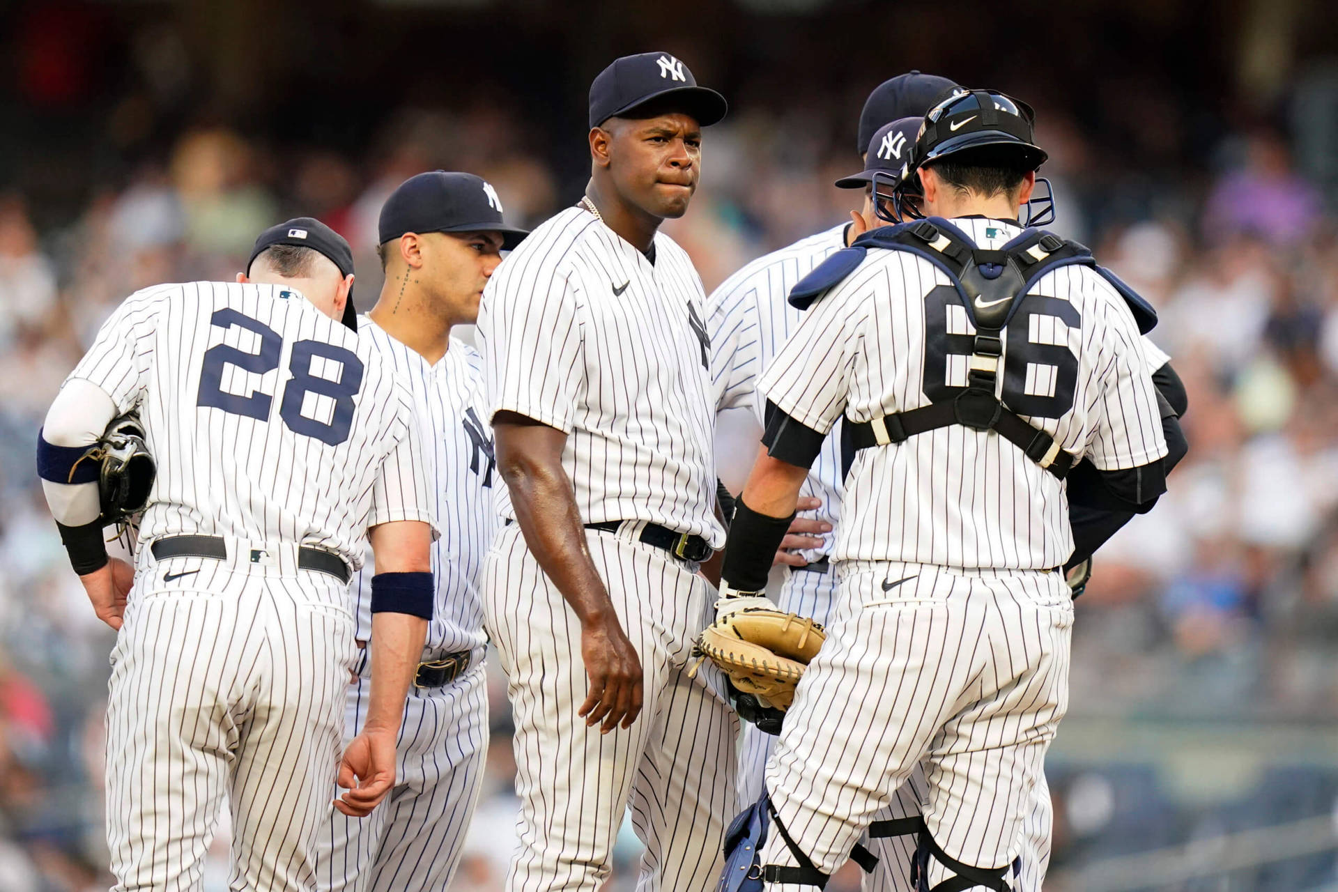 Luis Severino And Team Background