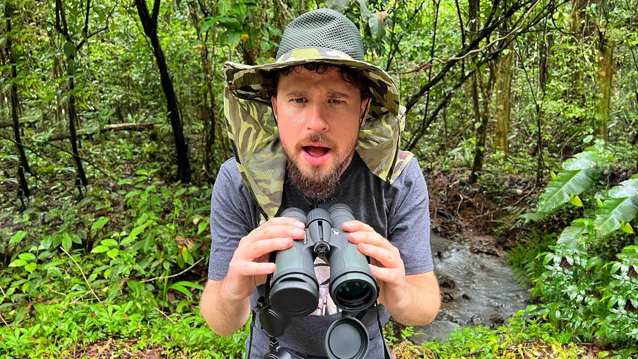 Luisito Comunica Forest Adventure Background