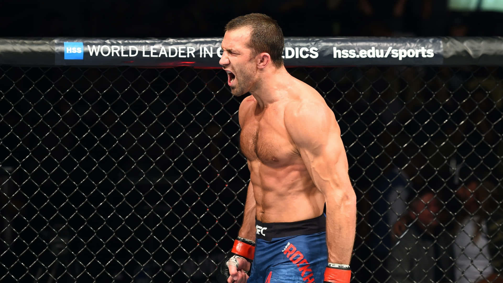 Luke Rockhold In Action During The Ufc Fight Night 2017. Background