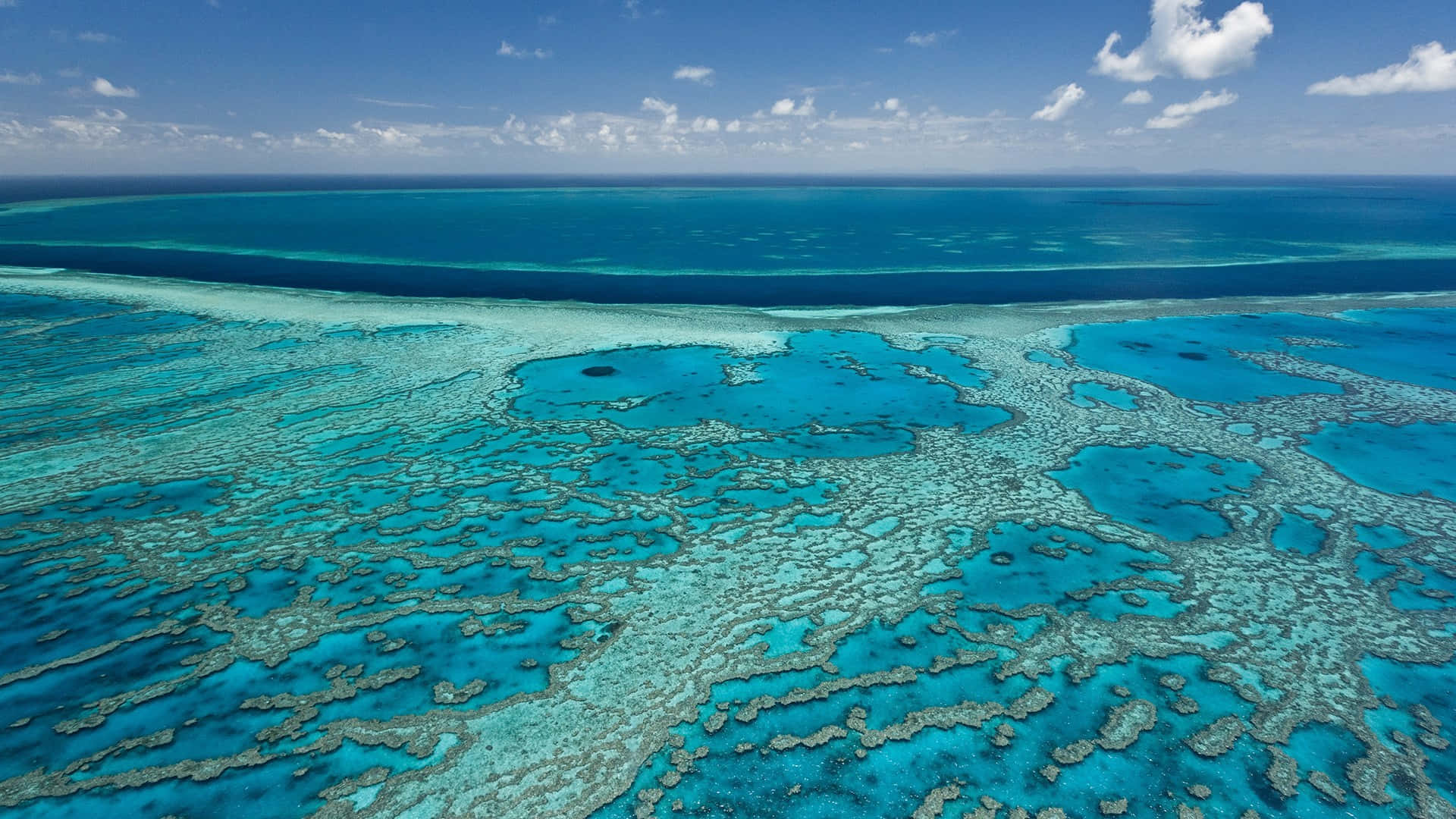 Luminous Blue Great Barrier Reef Background