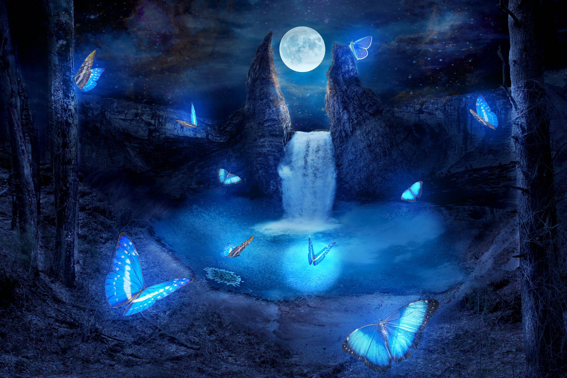 Luminous Falls Night Butterfly Background