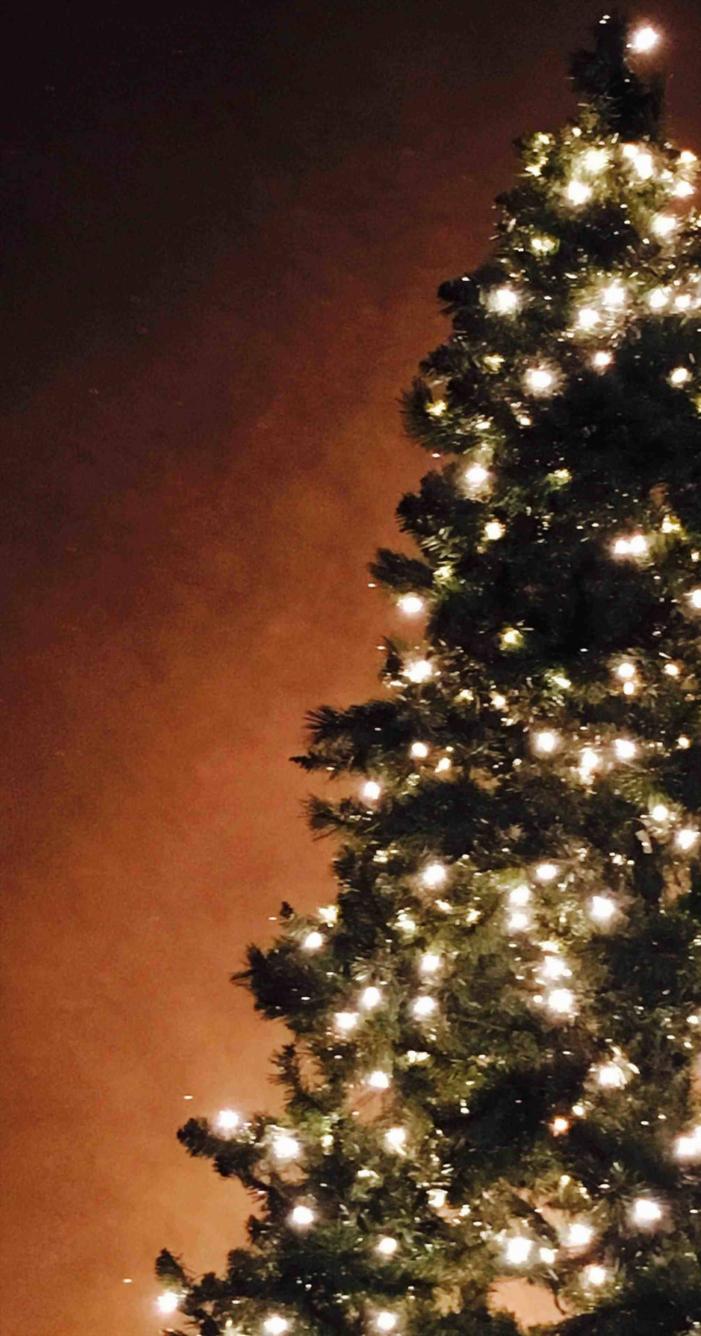 Luminous Pine Christmas Tree Iphone