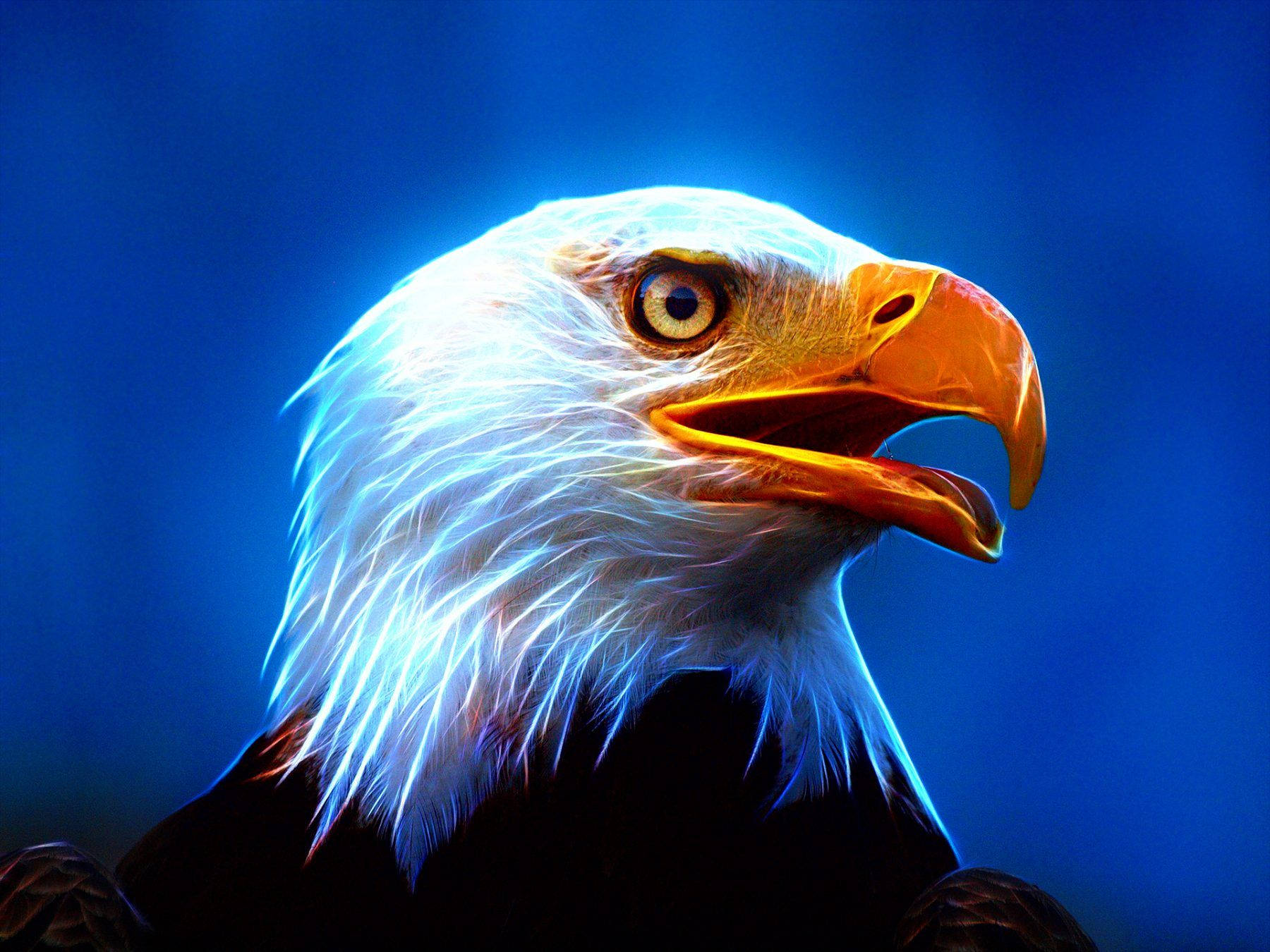 Luminous Us Eagle Graphic Art Background