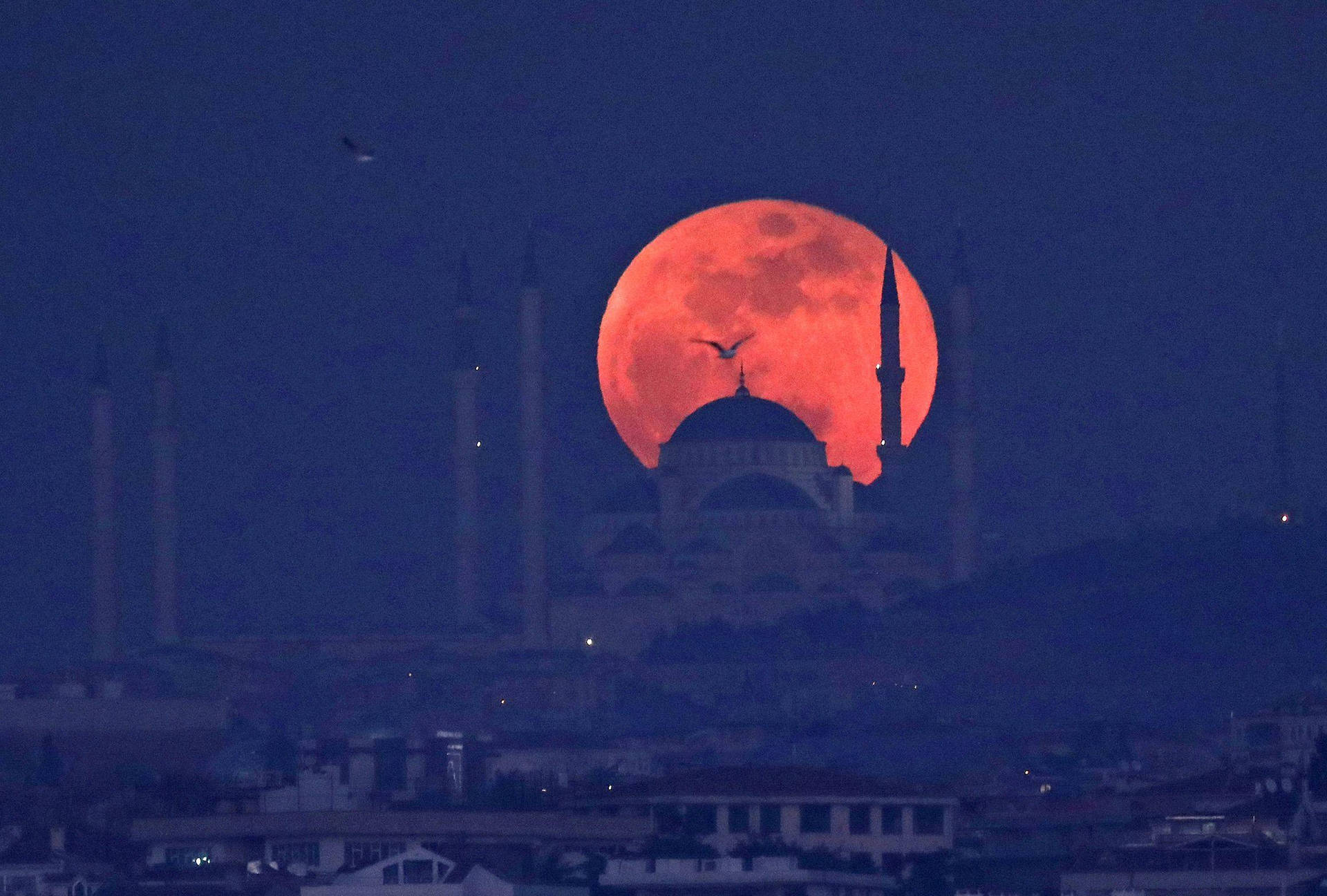 Lunar Eclipse Mosque Background