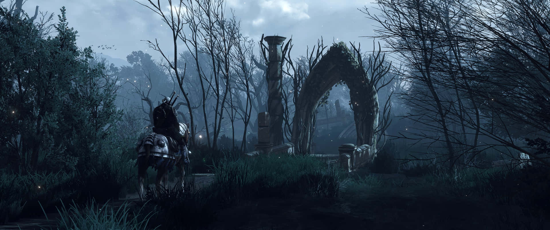 Lurking In The Shadows Of The Witcher's World Background