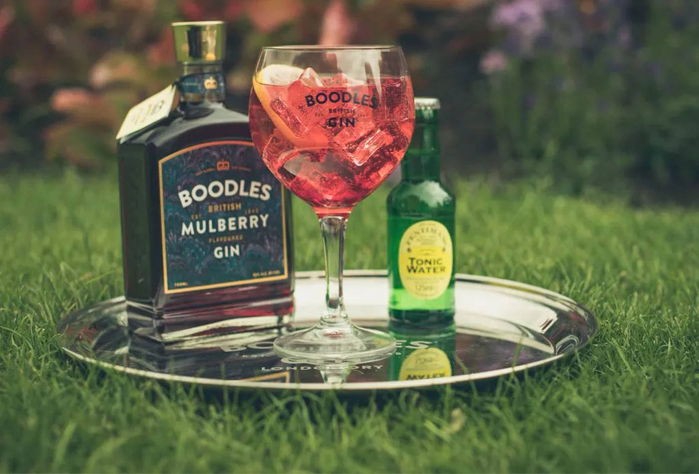 Luscious Boodles Tonic And Gin Background