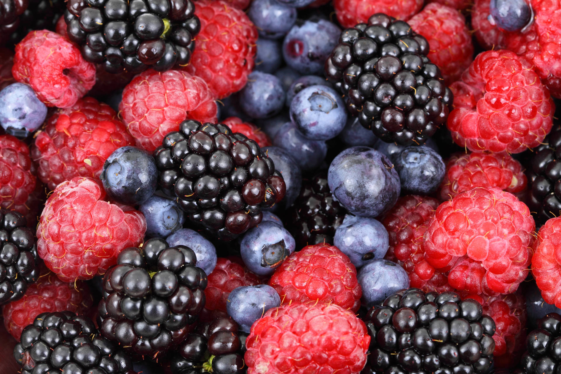 Luscious Boysenberry Among Berries Collection Background