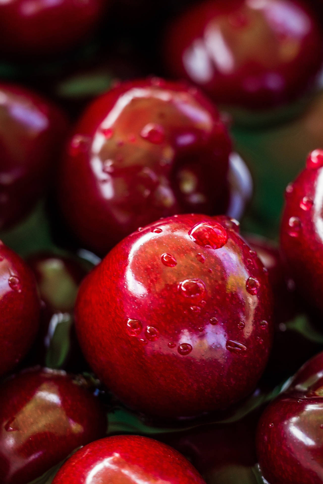 Luscious Cranberry Close-up Photo Background