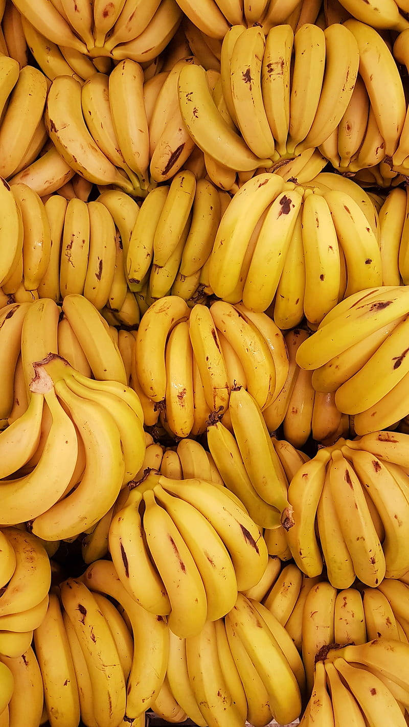 Luscious Green Plantains On Tree In Radiant Sunshine Background