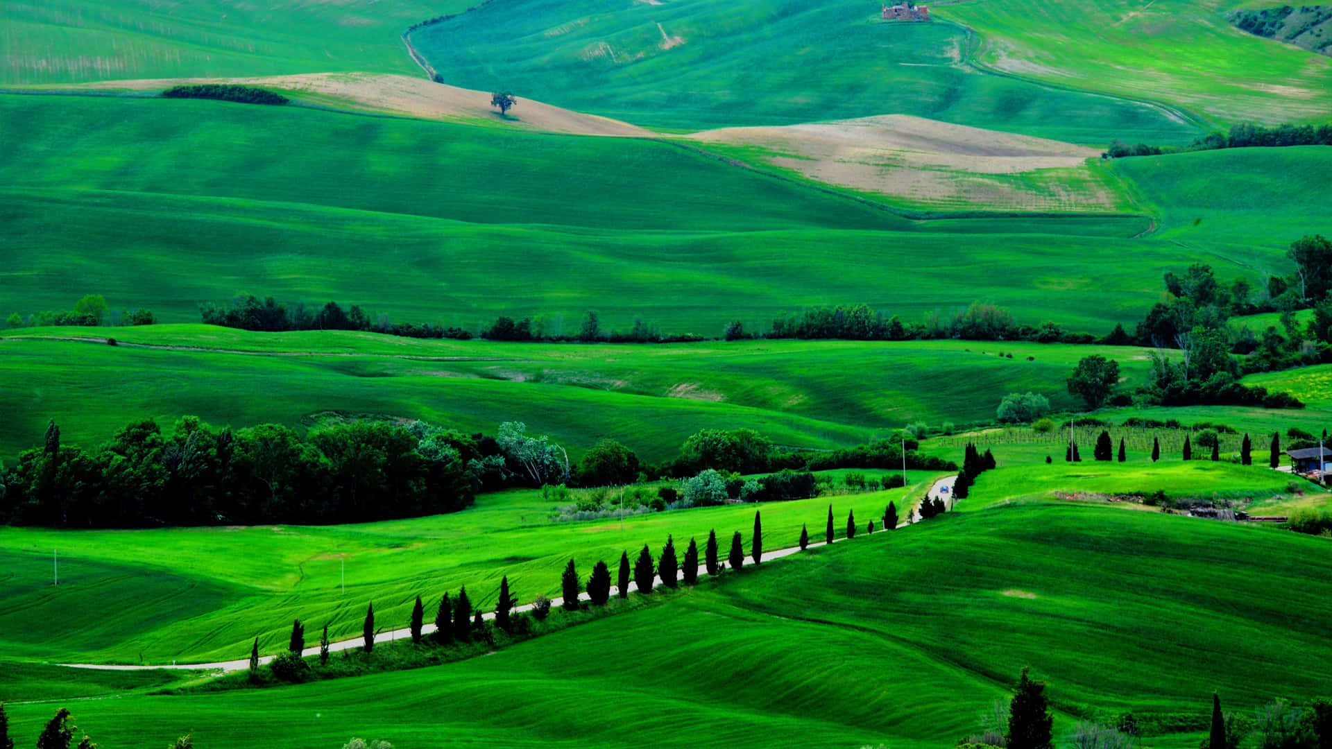 Luscious Greenery And Hills Around A Country Road Background