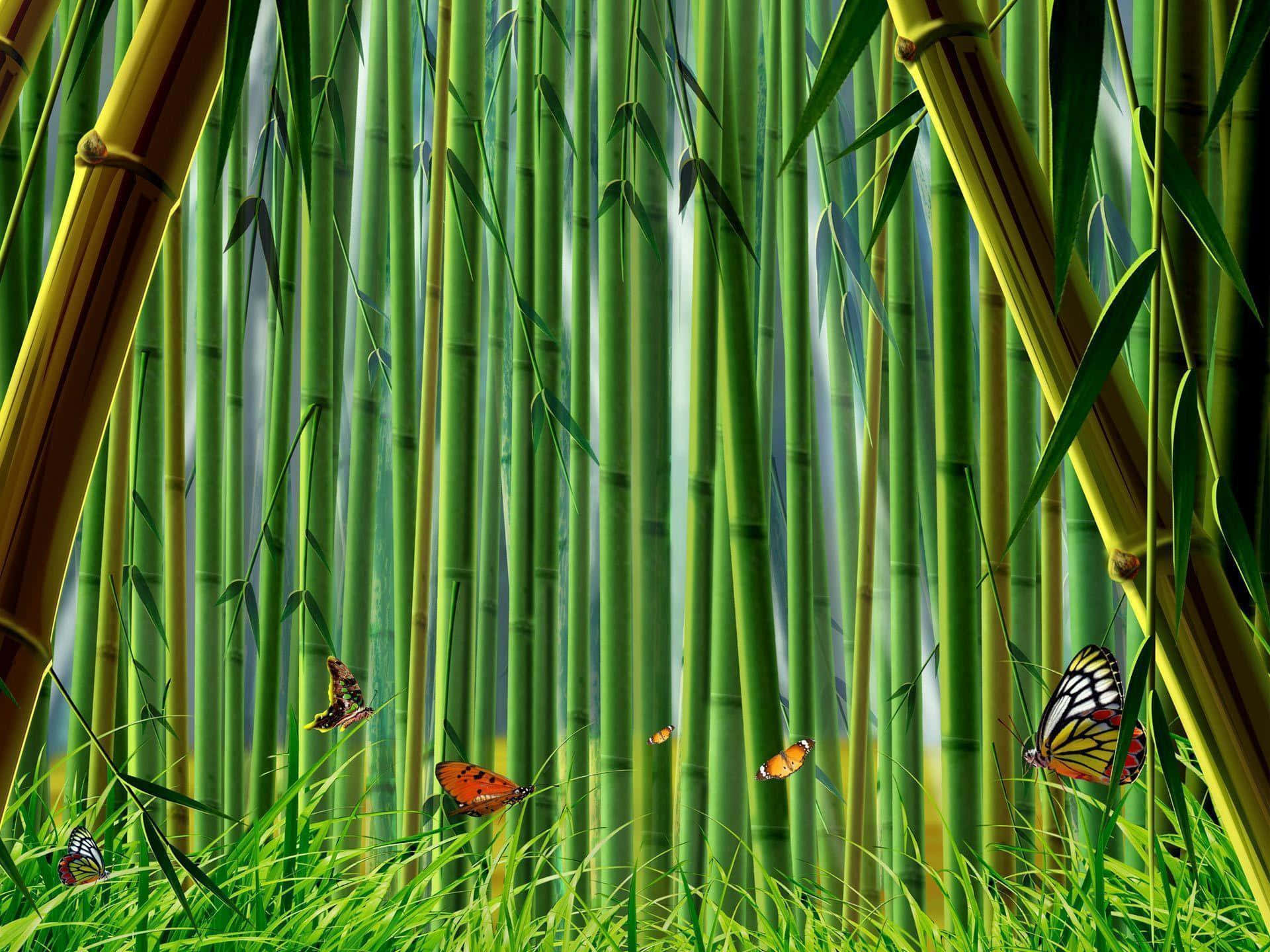 Lush And Green Bamboo On A Desktop