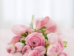 Lush Blooming Pink Rose Bouquet In Full Bloom Background