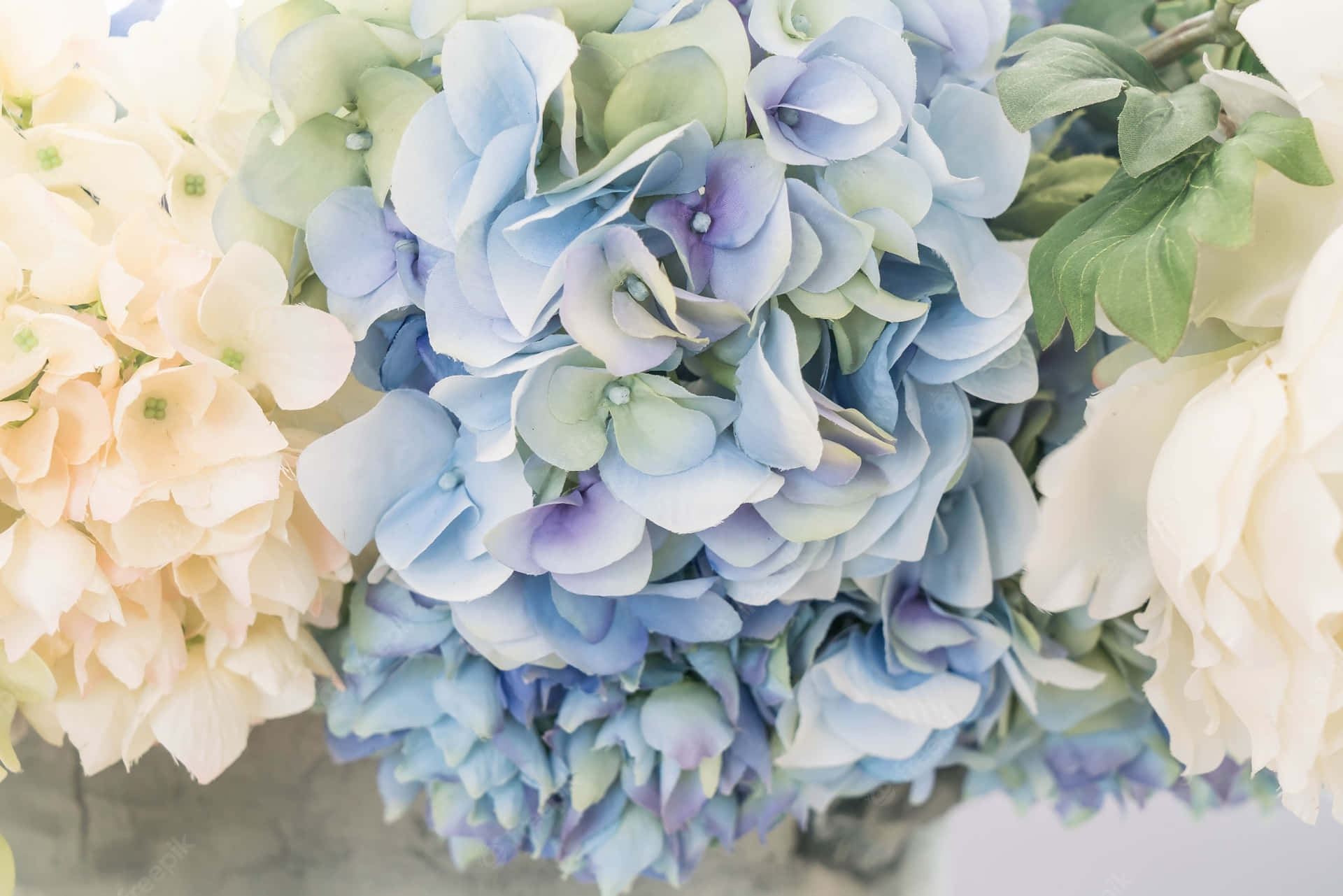 Lush Blue Flower Blooming In Nature Background