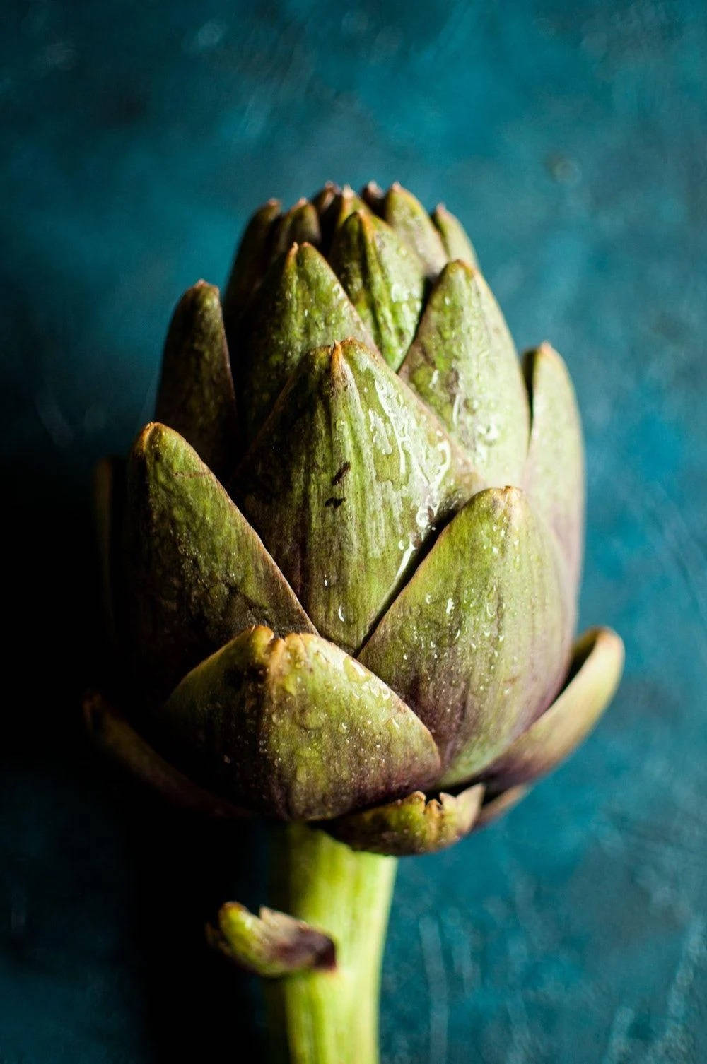 Lush Green Artichoke In Low Light Background