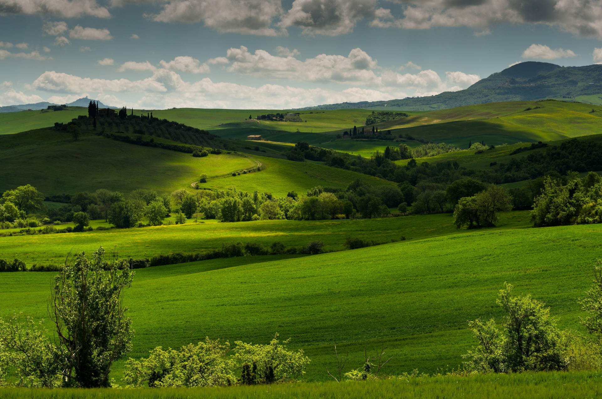 Lush Green Hills In Tuscany