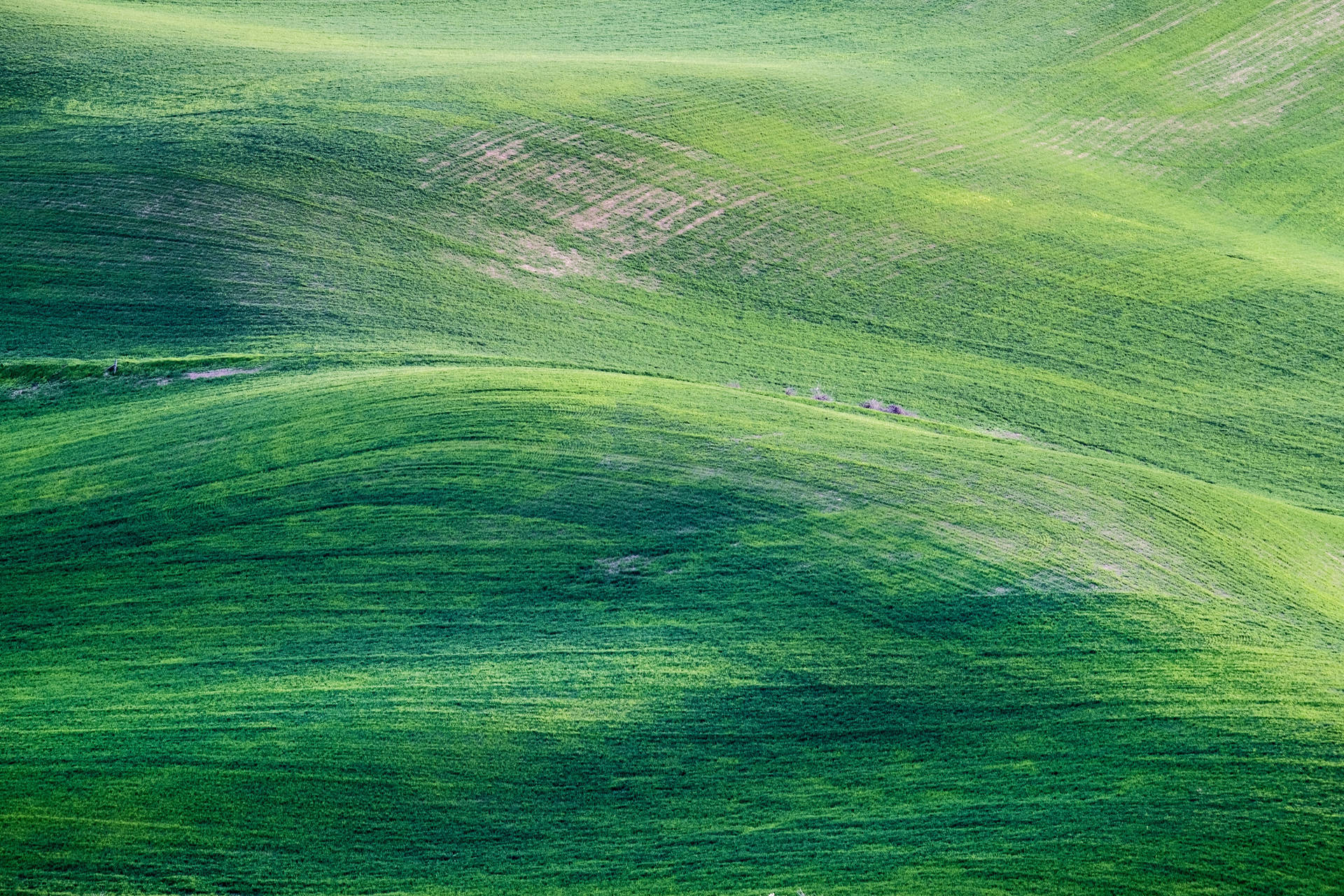 Lush Green Hills Mac 4k Background