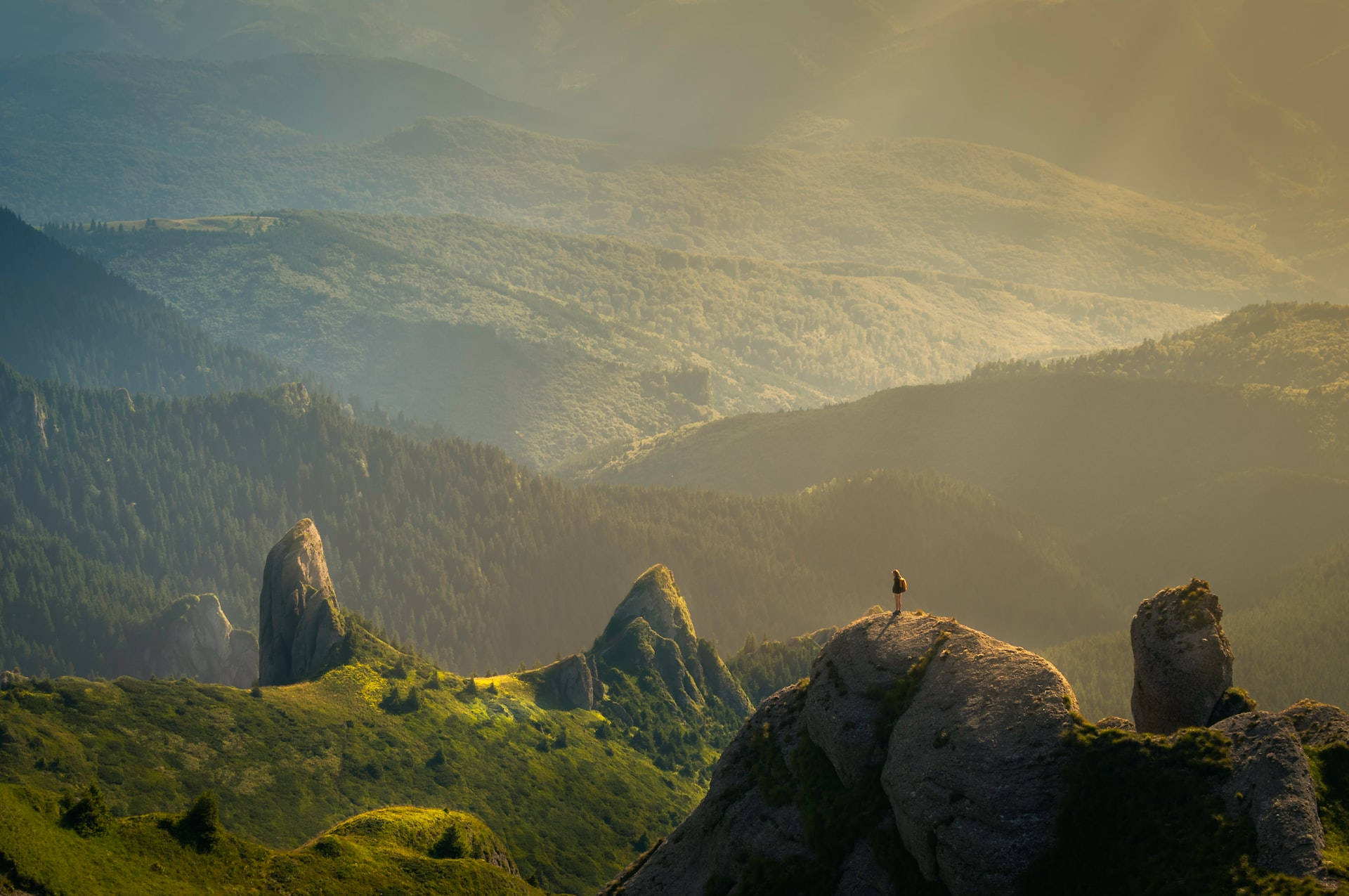 Lush Green Mountain Macbook Background