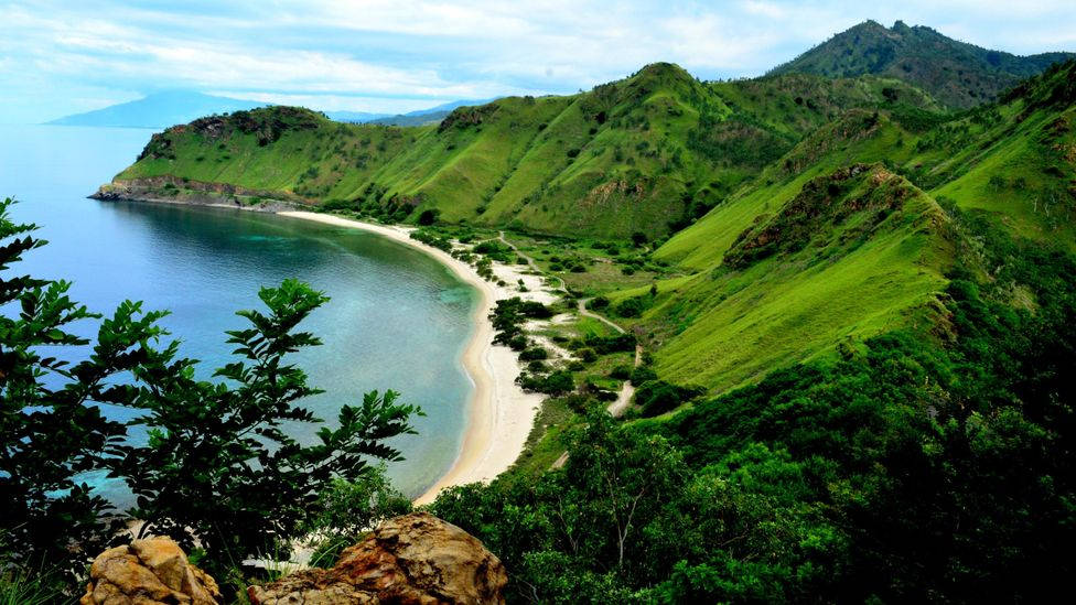 Lush Green Mountains Timor Leste