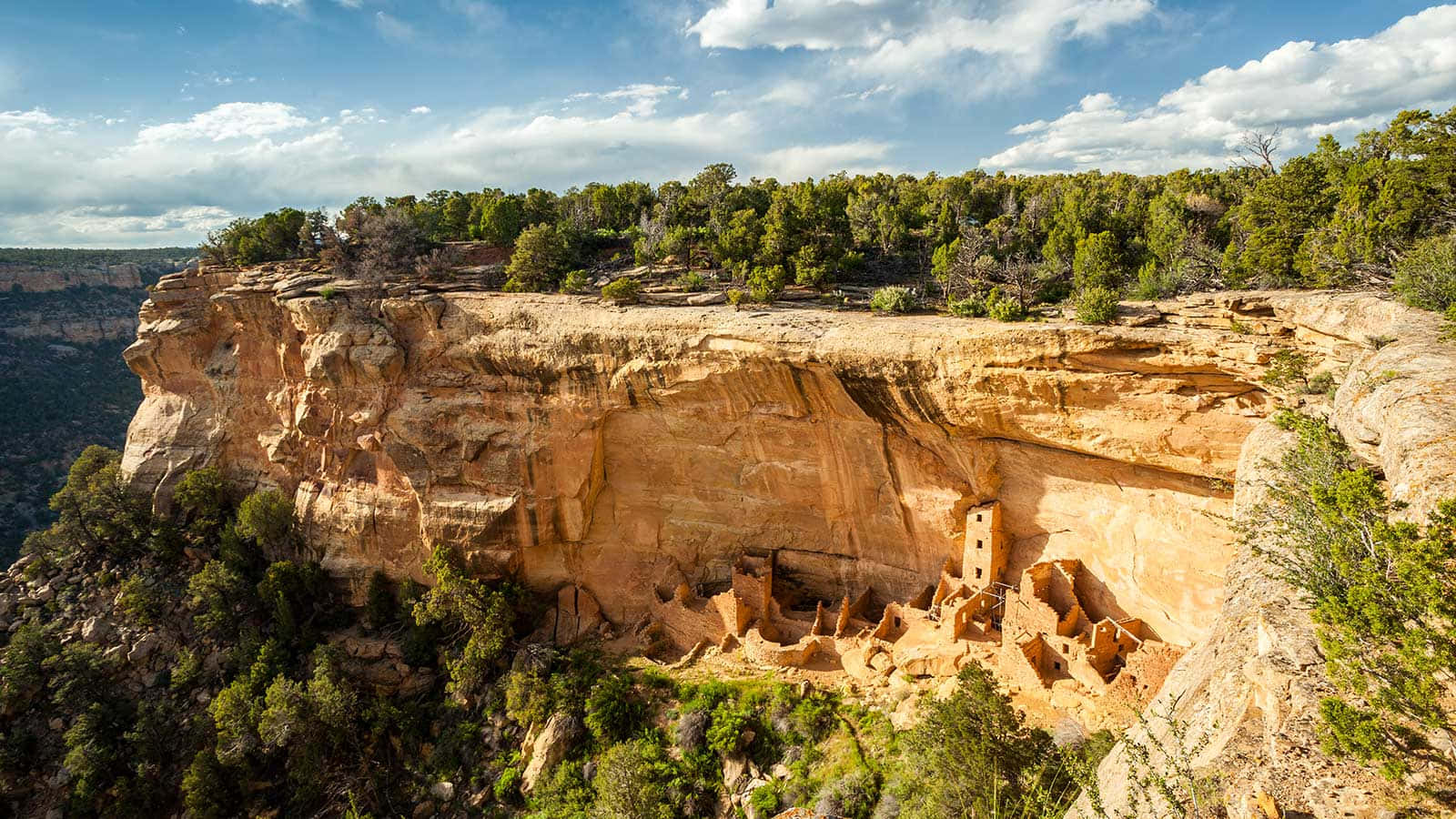 Lush Green Surrounding The Cliff Palace At Mesa Verde National Park Background