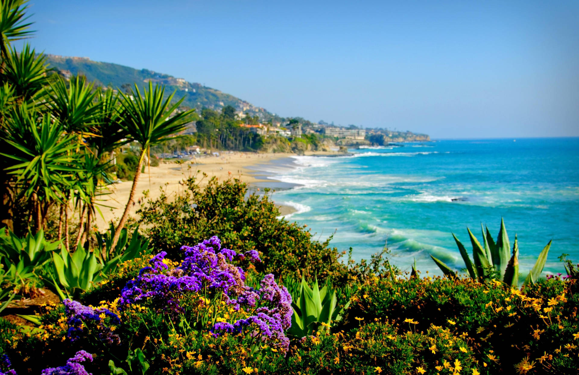 Lush Greenery On Malibu Beach Background