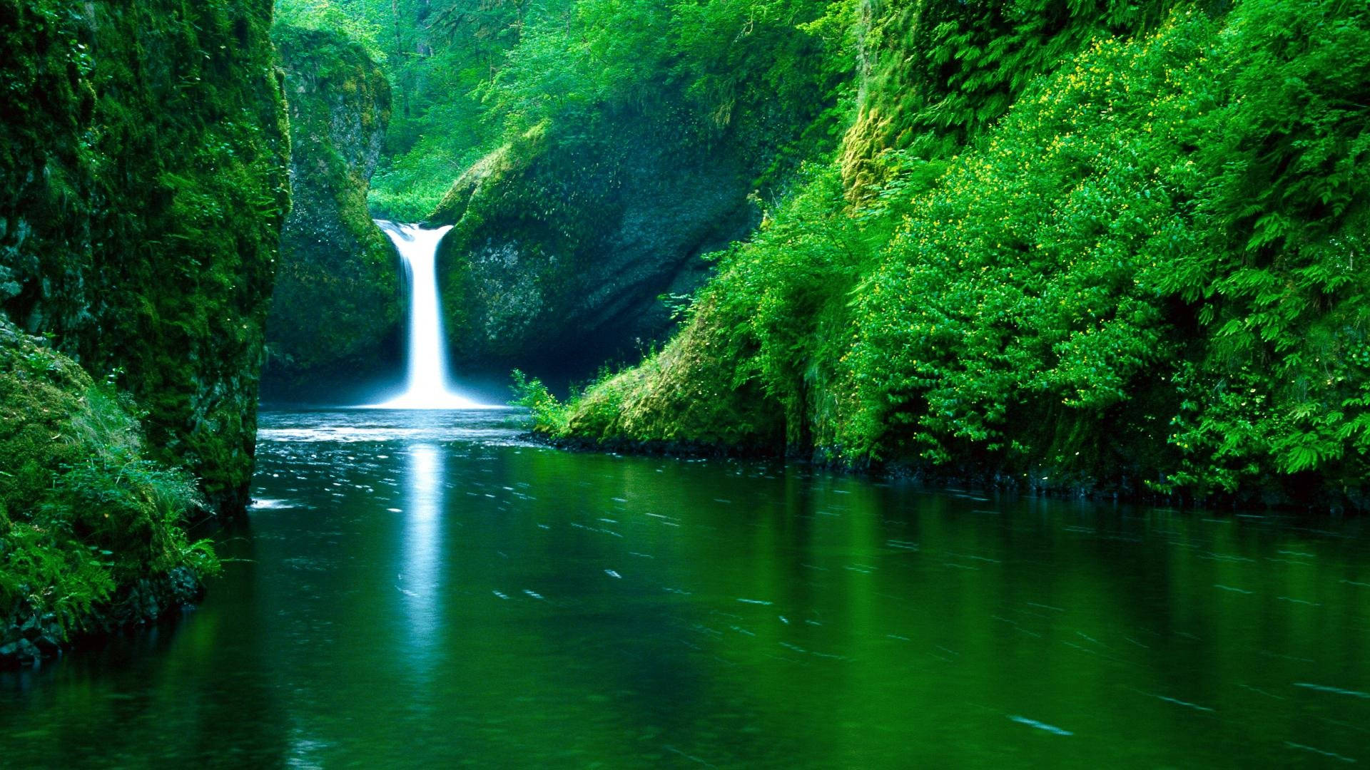 Lush Waterfall And River Landscape Background