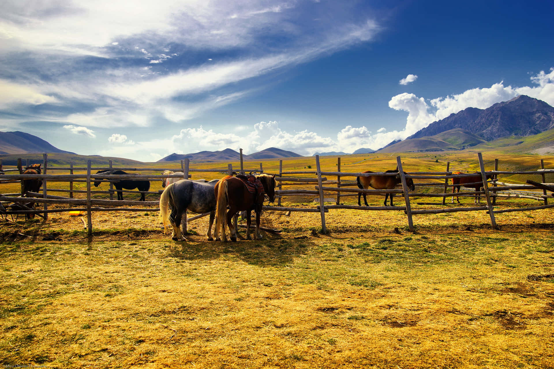 Lush With Beauty And Simplicity - Experience The Joys Of Ranch Life. Background