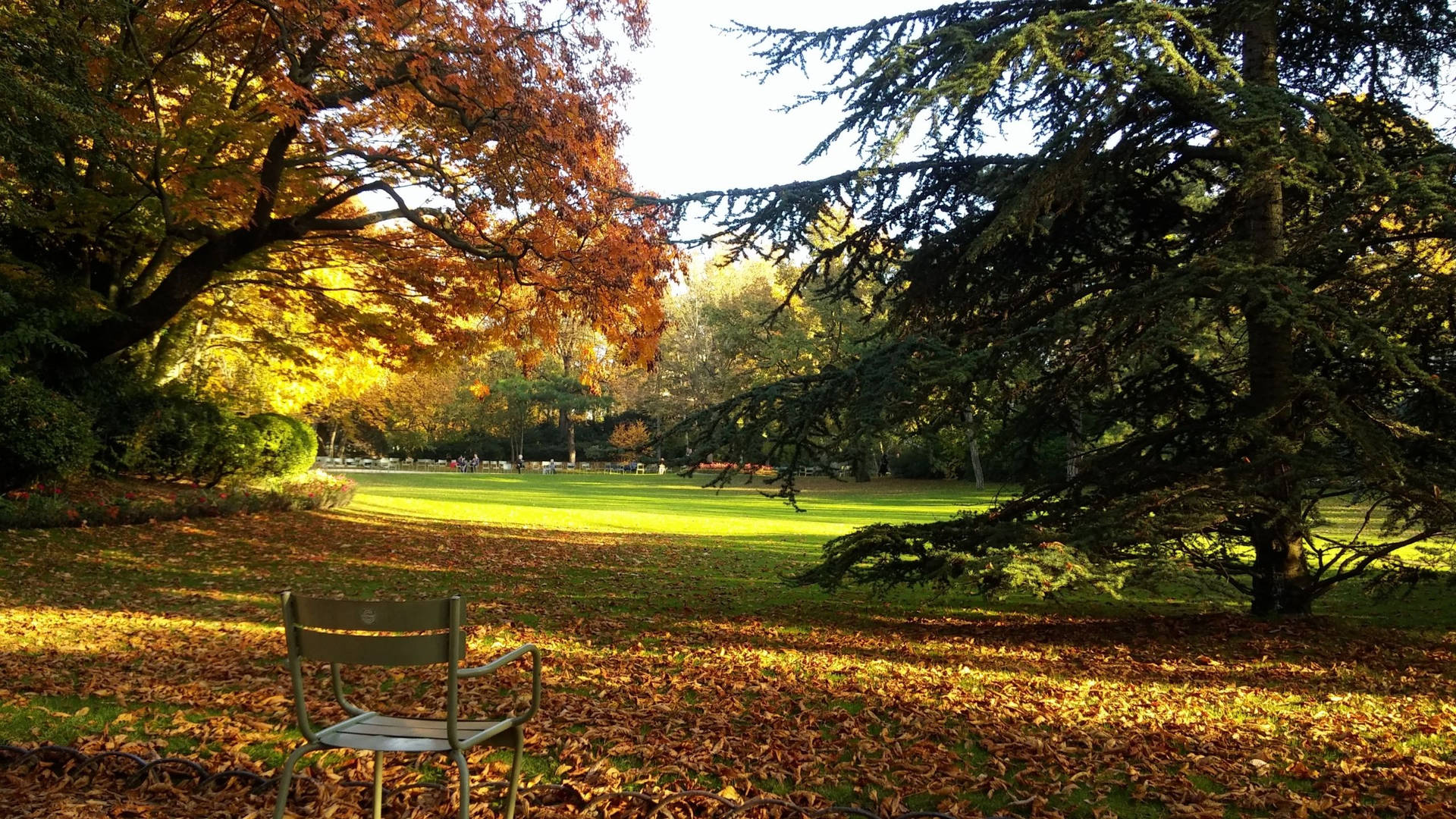 Luxembourg Gardens In Fall