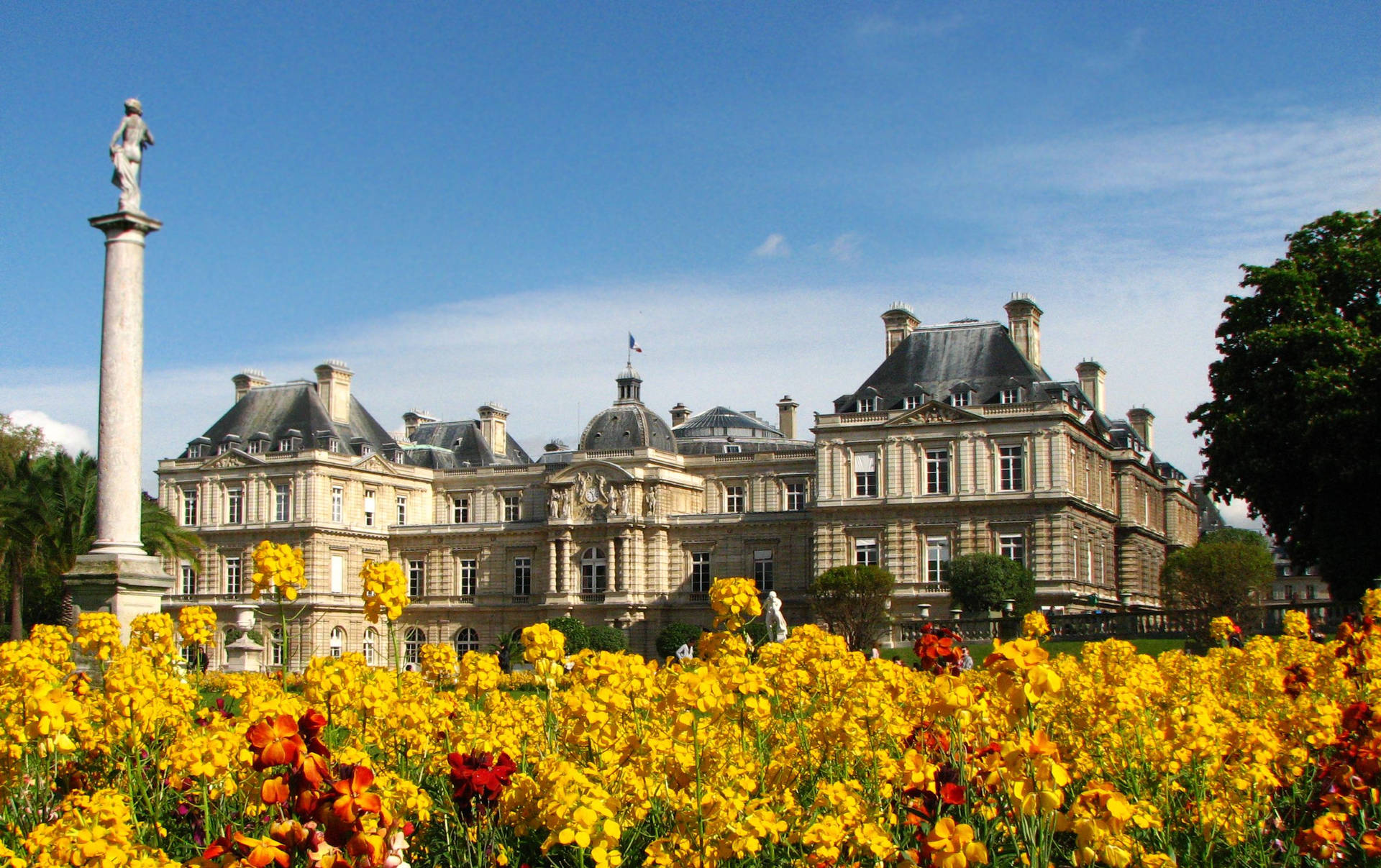 Luxembourg Palace And Yellow Flowers Background