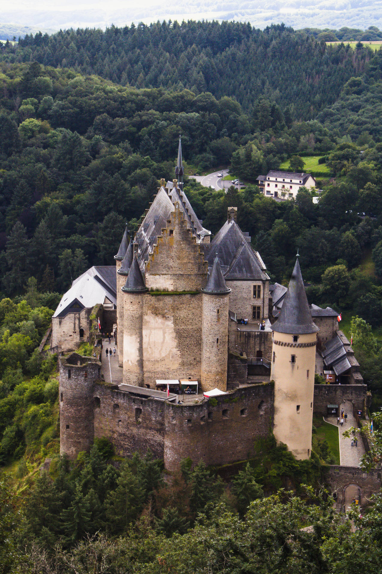 Luxembourg Vianden Castle And Trees