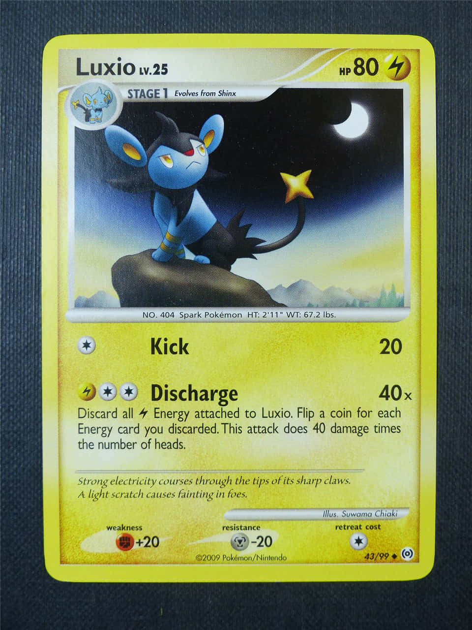 Luxio Pokemon Trading Card Blue Background
