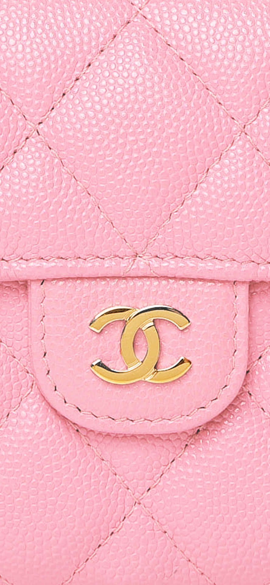 Luxurious Designer Aesthetics For A Cozy Space