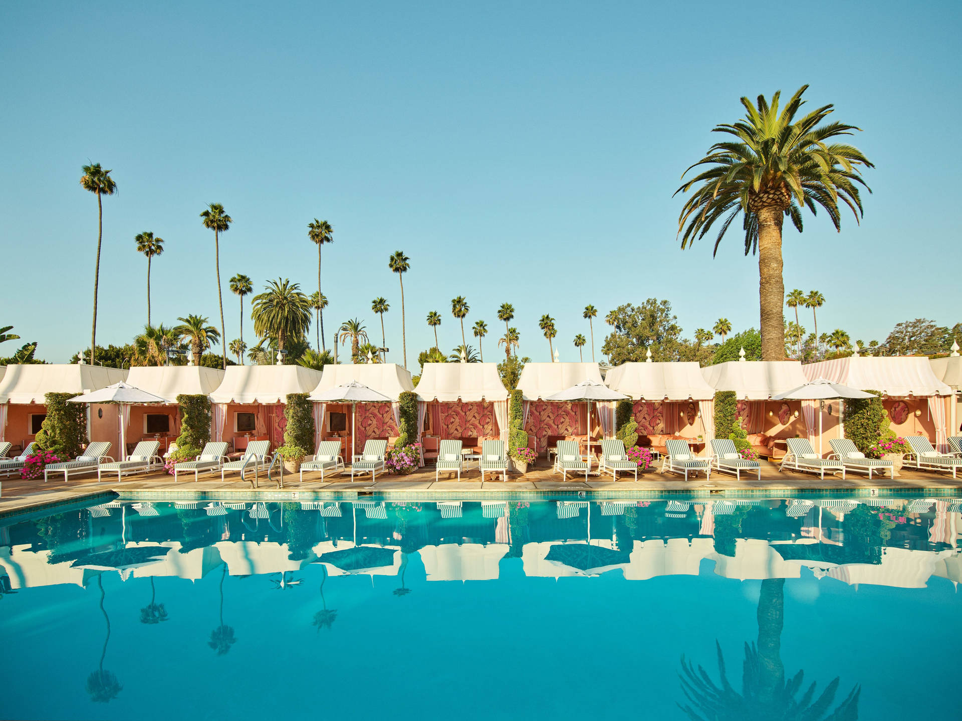 Luxurious Escape At Beverly Hills Hotel Swimming Pool Background