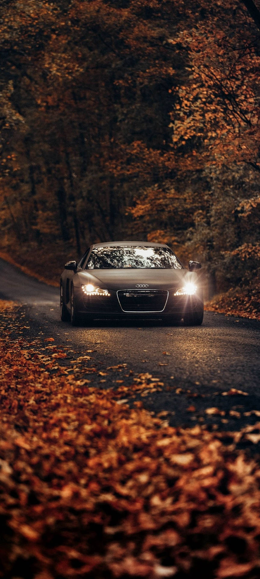 Luxurious Fall Aesthetic Oneplus 9r Background