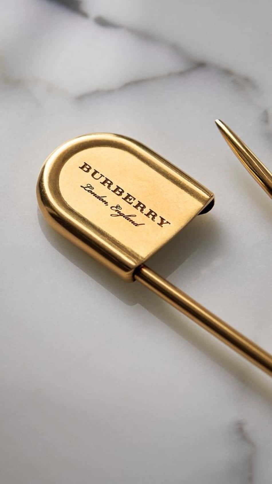 Luxury Aesthetic Burberry Safety Pin