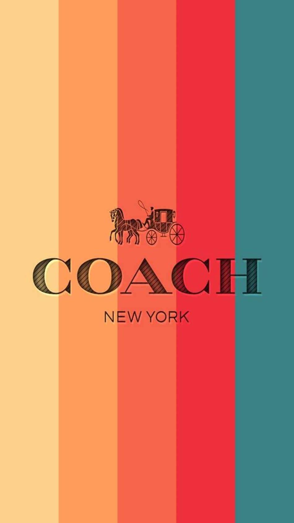 Luxury Aesthetic Coach New York