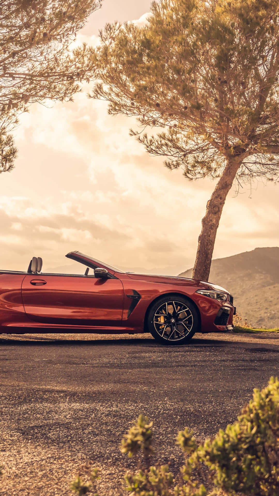 Luxury And Style Conquer The Road: The Bmw M8