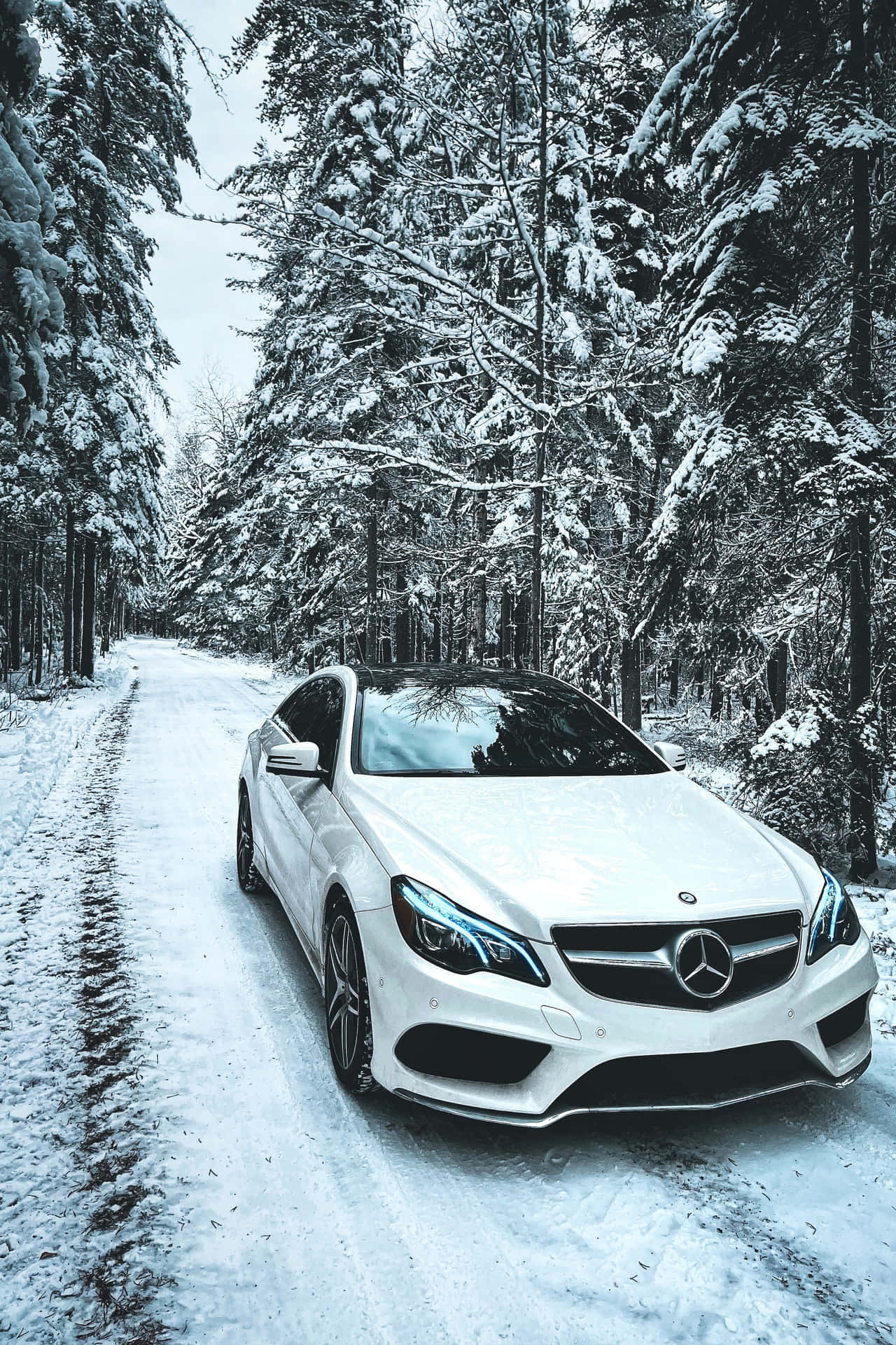 Luxury At Your Fingertips - Mercedes Benz Phone Background