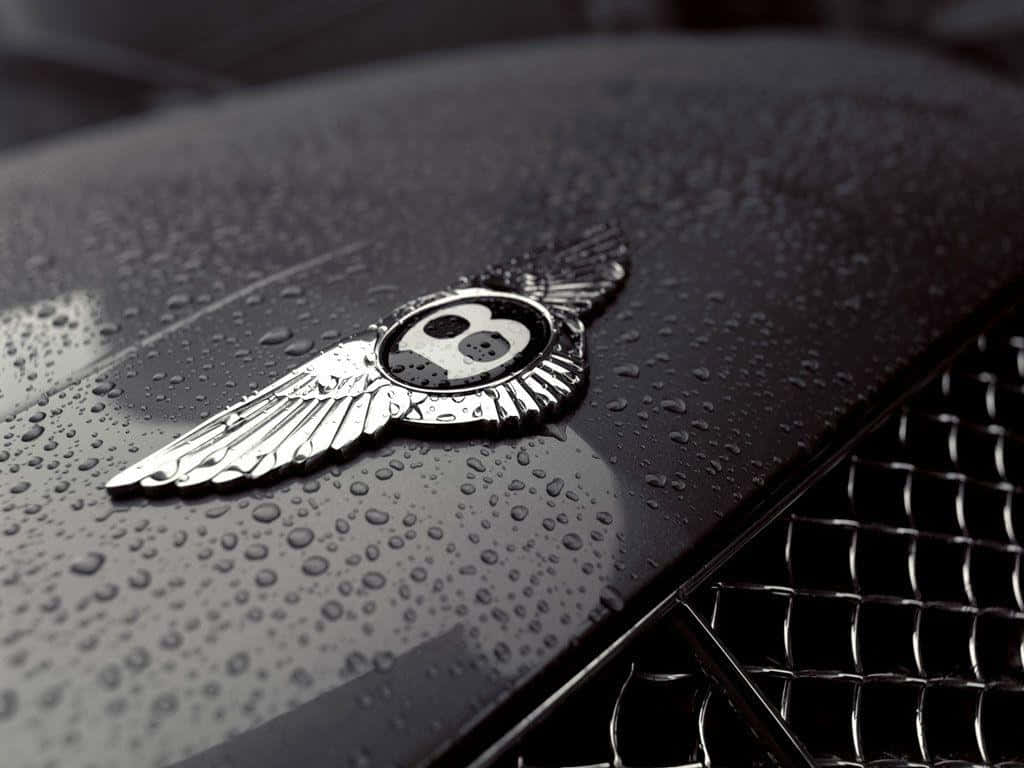 Luxury Car Logo On Red Background Background
